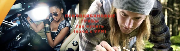 не бодяженный Новодвинск