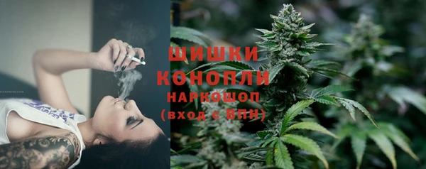 молекула духа Покровск