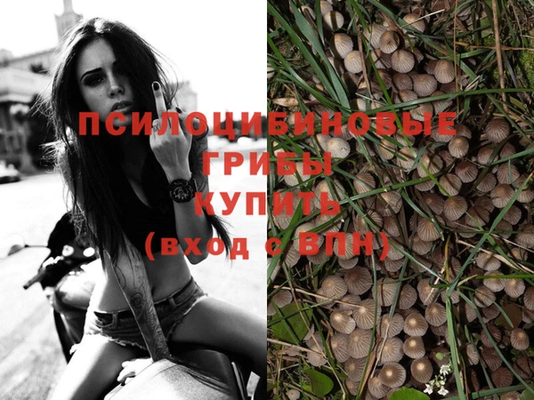 не бодяженный Новодвинск