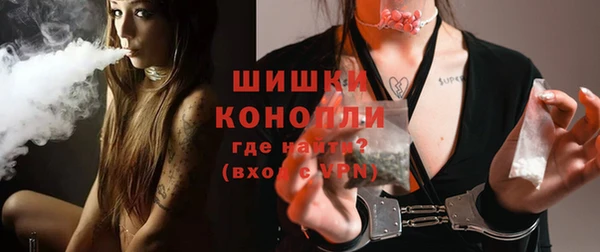 молекула духа Покровск