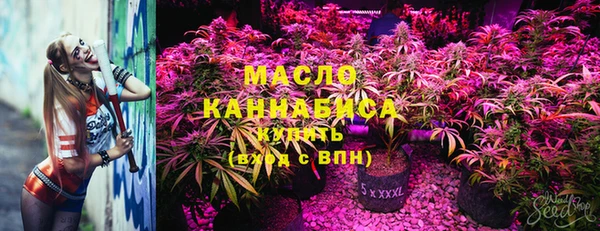 молекула духа Покровск